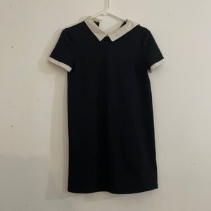 zara collared mini dress